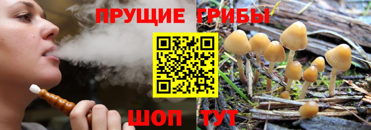 Псилоцибиновые грибы Magic Shrooms  Вход с VPN  Псилоцибиновые грибы Magic Shrooms  Лабытнанги 